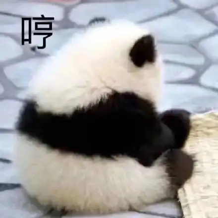 沙雕表情包亲亲可爱的自己