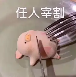 会长韶韶报名一时爽出签火葬场