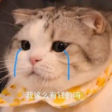 吐槽支付宝年度账单的表情包合集我有这么多钱吗我怎么不知道