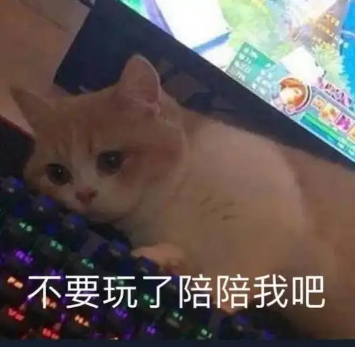 沙雕斗图表情包不要玩了,陪陪我吧