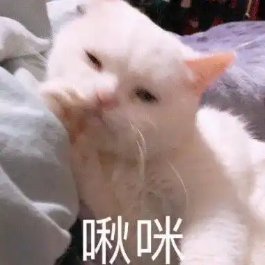 撩人表情包拿图片在线等,一位漂亮妹妹