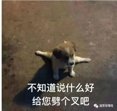 重庆妹儿和男朋友聊天记录曝光看完露出痴汉般的笑容