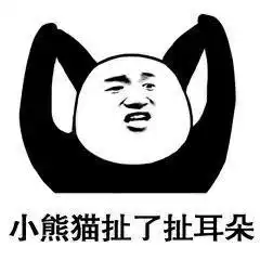 表情包小熊猫整理了一下新发型