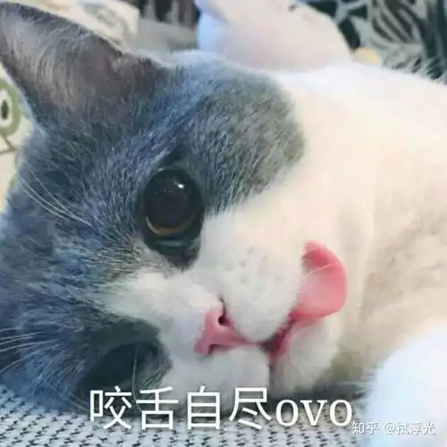 你看过最恶心的小说剧情是什么