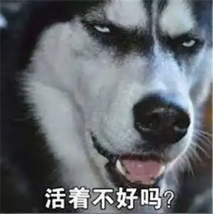 惊喜你今天被香蕉和枣刷屏了吗这美味您值得拥有跨界组合给你一个全新的体验