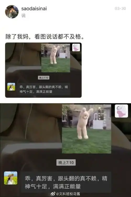 手滑在家族群发了ghs的表情包救命人没了