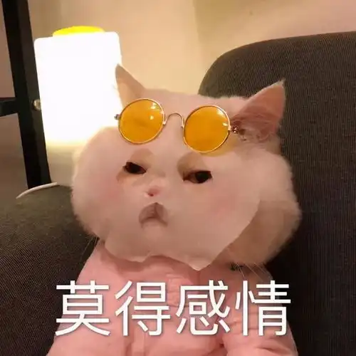 一山不容二宠猫党和狗党今天就要battle出个结果