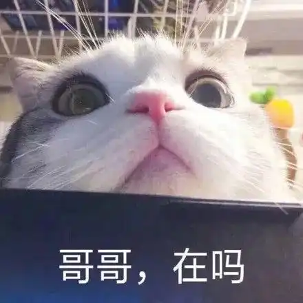 最新表情包拿图片哥哥在吗,希望你能矜持一点