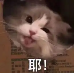 可爱猫咪的表情包我的悲伤大概有这么大