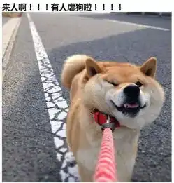 妈,你为什么要催我结婚