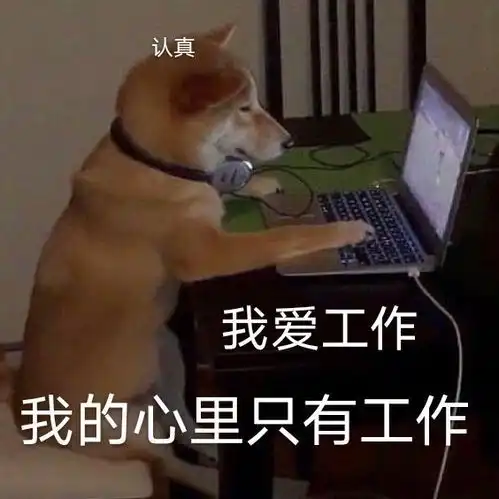 小白必备的shopee专业术语解析