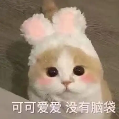 可爱猫猫表情包快乐是他们的,我只有双下巴