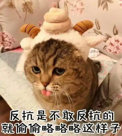 ,收藏夹