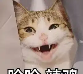 因为我回家晚了,我家猫骂我了3个小时