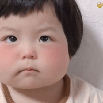 超可爱的丸子妹表情包,来啦来啦