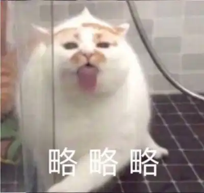 猫咪表情包超可爱猫咪表情包