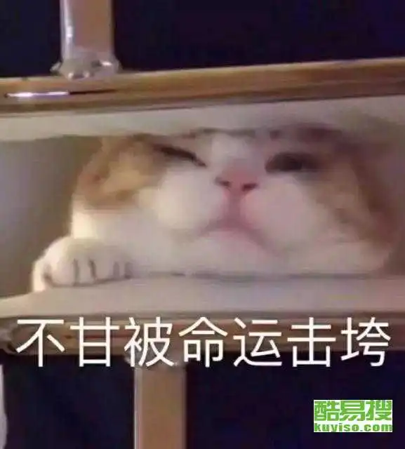泉州酷易搜