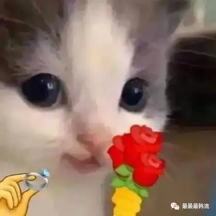 究竟是不是偶像失格