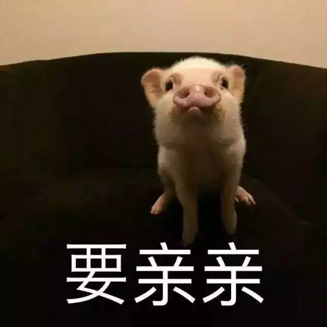 七夕福利单身狗点开