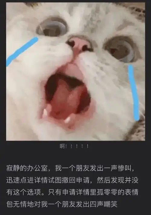 手滑发错表情包,我被亲妈移出了家族群...求你做个人吧