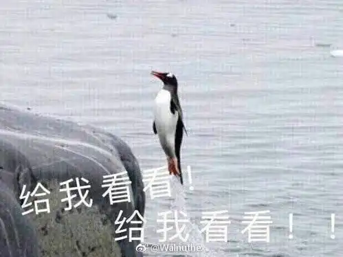 求偶青创营团的大逃杀系列文,gwkkgwkk啥cp...