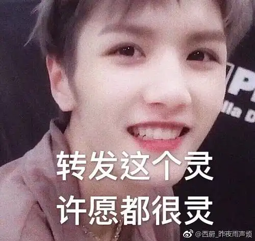 我手机里的表情包们和安利图片