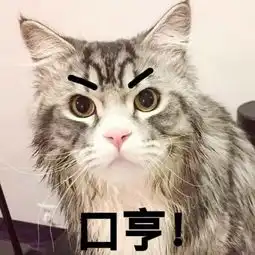 表情包丨萌猫表情包来袭
