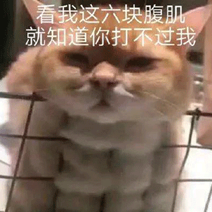 热门表情包第27期