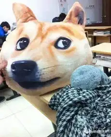 我们的去世了