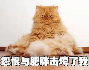 如果妖猫传里不是黑猫而是橘猫,我能吸上30年