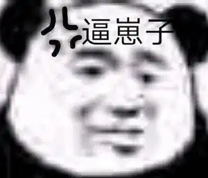 沙雕表情包小熊猫第二十三期