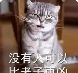 我家猫咪实在太凶了,不想养了怎么办