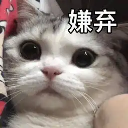 猫咪表情包合集怎么可以这样