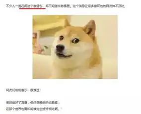 悼念表情包柴犬之前,是不是应该先了解一下事实