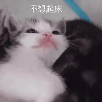 今日份沙雕表情包