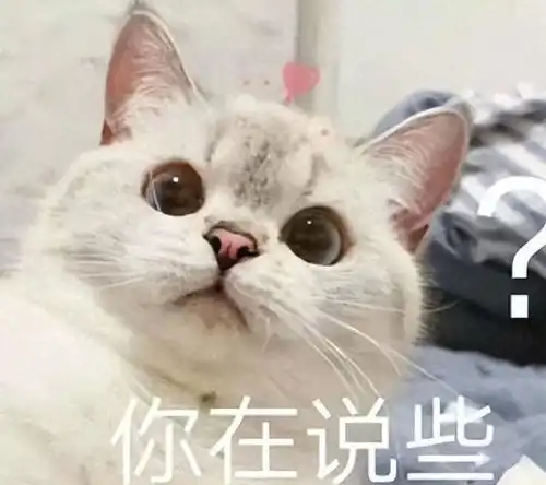 猫咪讨厌你的11大表现,占5条以上,说明它恨透你了