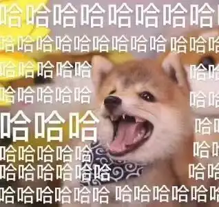 doge是柴犬吗看完柴犬表情包,网友想养狗