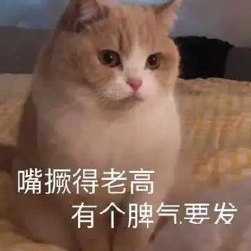 我有一个大胆的想法丨第127期喵表情
