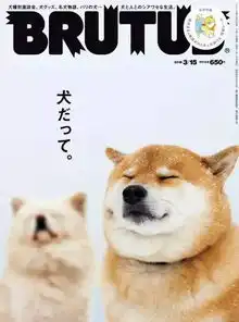 这个笑容你还记得吗