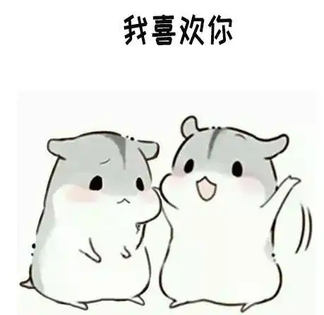 仓鼠表情包做我女朋友吧