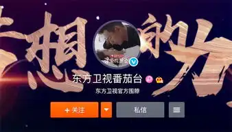 浙江卫视东方卫视怎么了为什么都把头像换成杨紫和李现