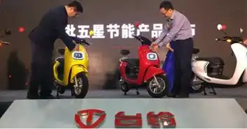台铃电动车逐浪扬帆跑得更远