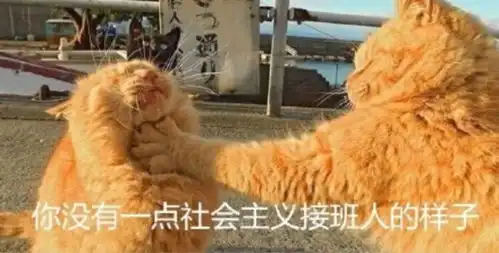 喵汪星人表情包三
