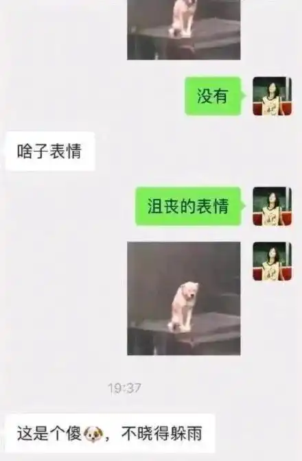 手滑在家族群发了ghs的表情包救命人没了