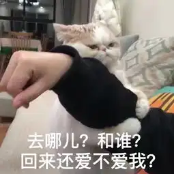 十条段子男人的相貌会影响女人的酒量