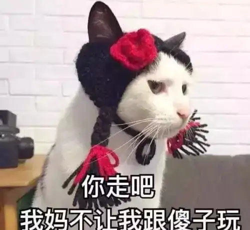 成为铲屎官之后,这些事情几乎不可能了吧