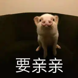 你点开