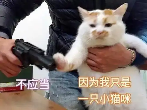 还没亲亲就已少女心泛滥,这部致我们单纯的小美好简直甜到炸