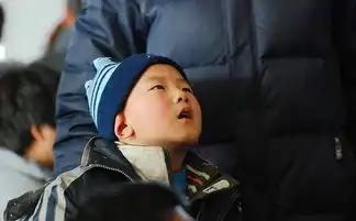春运来啦表情专辑我叫刘跃进