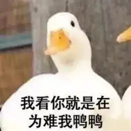七月十四,不仅仅有被玩坏的鸭子...